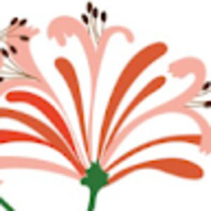 Meet your Posher, Christi